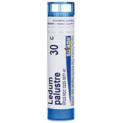 Ledum palustre CH 30 4 g