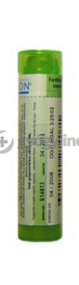 Ammonium chloratum 4 g - hígítás C5