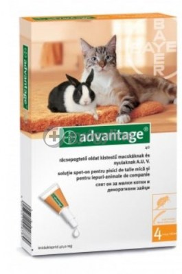 Advantage bolha ellen macskáknak és nyulaknak 4 kg alatt 40 mg 4 db