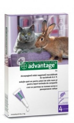 Advantage bolha ellen macskáknak és nyulaknak 4 kg felett 80 mg 4 db